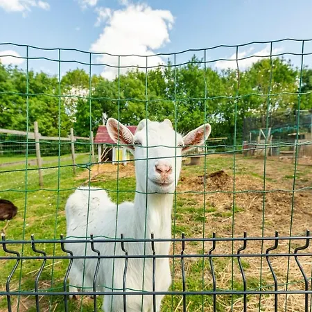 Chez Les Enfants Du Marais * Ferrières